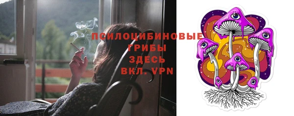 Альфа ПВП Алзамай