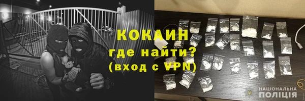 дмт Абаза