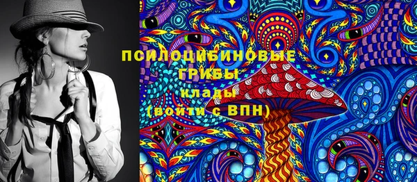 твердый Алексеевка
