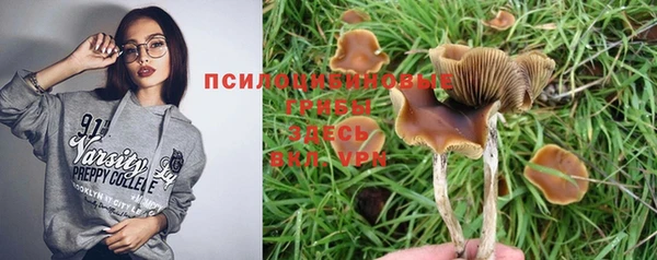 твердый Алексеевка
