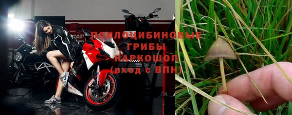 Альфа ПВП Алзамай