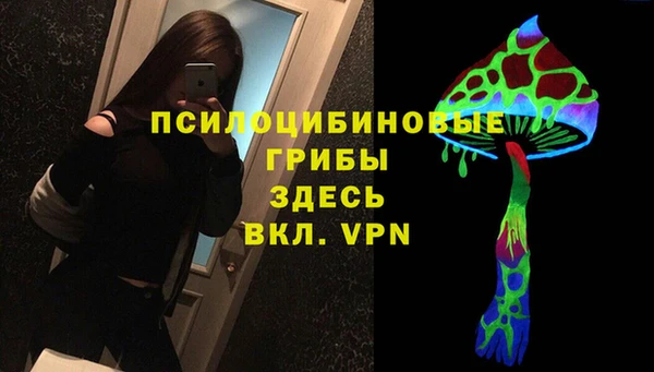 Альфа ПВП Алзамай